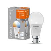 LEDVANCE SMART+ WiFi B22d 9W Classic 2,700-6,500K LEDVANCE SMART+ WiFi...