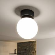 Paulmann Gove LED-kattovalaisin, musta, IP44