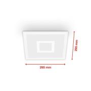 LED-paneeli Centrelight valkoinen Remote CCT RGB 30x30cm