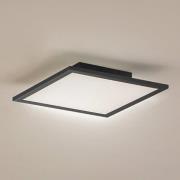 Lindby LED-paneeli Enhife, musta, 30 x 30 cm, metalli, 4 000K
