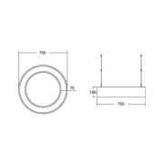 BRUMBERG Biro Circle Ring10 suora Ø 75 cm DALI valkoinen 830