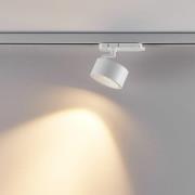 Molto Luce LED 3-vaiheinen valonheitin Magis, valkoinen, 827