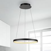 Paul Neuhaus LED-riippuvalaisin Hoop, musta, Ø 57 cm, himmennettävä