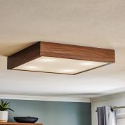 Kattovalaisin Tromsö, pähkinä, 50 x 50 cm, puu/lasi