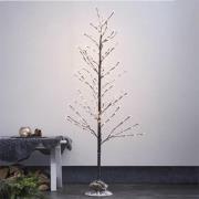 LED koristepuu Tobby Tree IP44 ruskea korkeus 150cm