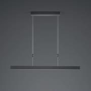 Delta LED-riippuvalaisin, 100 cm, musta