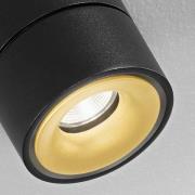 Egger DLS LED-valonheitin Clippo Duo, musta-kulta, 2700K