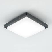EVN LED ulkokattovalaisin Tectum, 23x23 cm, antrasiitti, 150°