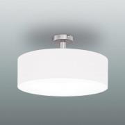 Varrellinen Mara-kattovalaisin 40 cm