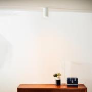 LED-kattovalaisin Delto himmeä lämpimäksi, pyöreä, valkoinen