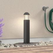 Hillitty pollarivalaisin Kurt