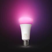 Philips Hue White+Color E27 15W LED-lamppu