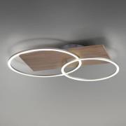 Paul Neuhaus Palma -LED-kattovalo CCT 2 rengasta
