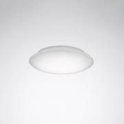 TRILUX 74R WD1 LED 1000 kattovalaisin 3000 K