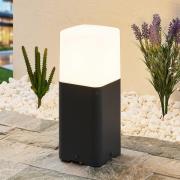 Lucande Obuna jalustavalaisin, korkeus 30 cm