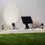 Lindby LED-aurinkoenergialla toimiva maapiikkivalaisin Malida, 3 kpl, ...