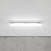 Kosteatilojen LED-diffuusori Mareen 8,5W 61cm