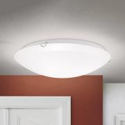 Agada kattovalaisin, opaali lasi, kromi, 50 cm