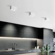 Kattovalaisin Elide 2-lamppuinen