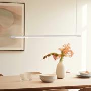 Quitani Talon LED-riippuvalaisin alumiini/luonnonvärinen anodisoitu 24...