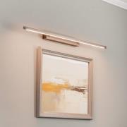 Quitani Talon LED kuvavalaisin pronssi valo anodisoitu valo