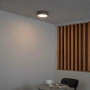 Anga LED ulkokattovalaisin, tummanharmaa, betoni, Ø 24 cm