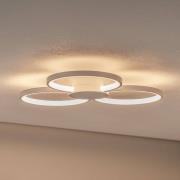 BEGA LED-kattovalaisin 51299.1, samettivalkoinen, metalli, DALI