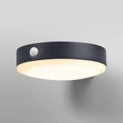 OSRAM LED-anturiseinälamppu ENDURA STYLE TOSSA Solar 16 cm 830