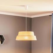 Riippuvalaisin Galaxy Soft Nature, ruskea