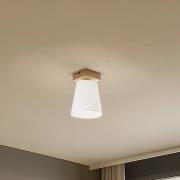 Envostar Risco kattovalaisin 1-valo kankainen varjostin valkoinen