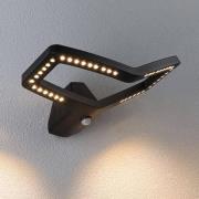 Paulmann Smart-anturiseinävalaisin Alara, RGBW antrasiitti IP44