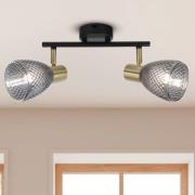 Kattovalaisin Lindita, 2-lamppuinen, lasi, savuharmaa, E14