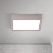 LED-kattovalaisin Disc, nikkelivärinen satiinipinnoitettu, pituus 14 c...