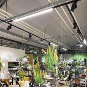 LED-kiskovalaisin LINEAR PRO musta 930 60 cm 3-piirinen DALI-valaisin