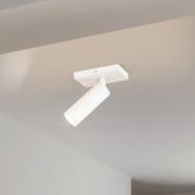 Arcchio kattokohdevalo Brinja Slim, valkoinen, 1-lamppuinen, GU10 MR11