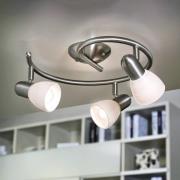 Edustava Dake-kattovalaisin, 3-osainen