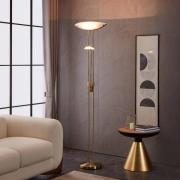 Baya lattiavalaisin kiillotettu