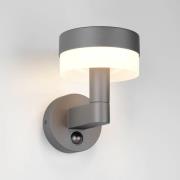 LED-ulkoseinälamppu Mackenzie Sensor antrasiitti, alumiinivalettu