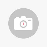 Muuto Under the Bell -riippuvalaisin, Ø 82 cm, harmaa