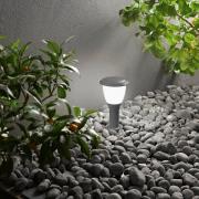 Pollarivalaisin Thiago, 30 cm, tummanharmaa, metalli, E27, IP65