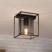 Catterick-kattovalaisin musta, ristikkovarjostin