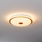 LED kattovalaisin Lanciano 1 kaukosäätimellä Ø38cm