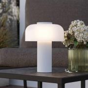 Ladattava LED-pöytävalaisin Ponente, Ø 16 cm, valkoinen, CCT, himmenne...