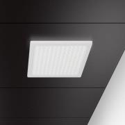 Regent Dime Office kattovalaisin 63cm 34W 3,000K 3,000K