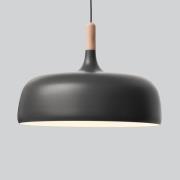 Northern Acorn -riippuvalaisin, mattaharmaa