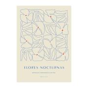 Paper Collective Flores Nocturnas 01 -juliste 50 x 70 cm