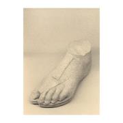 Paper Collective The Foot -juliste 50 x 70 cm