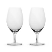 Sagaform Saga juomalasi 2-pakkaus Kirkas