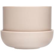 Iittala Nappula Ruukku Lautasella 170x130 mm, Beige