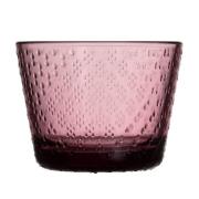 Iittala Tundra lasi 16 cl, kanerva, 2 kpl